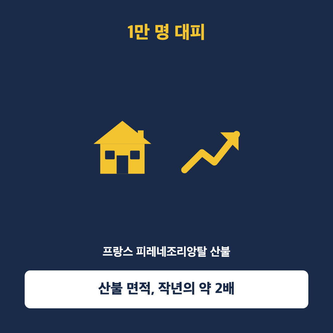 바르셀로나 40.5도… 유럽 폭염 사망자 2만명 넘었다 - 본문이미지3