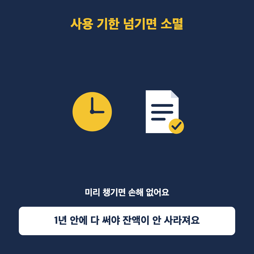 사용 기한과 잔액 소멸 안내 이미지